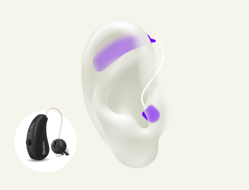 What is Receiver in The Canal (RIC) Hearing Aids ?