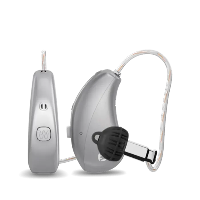 WIDEX Moment RIC Models Silver Grey